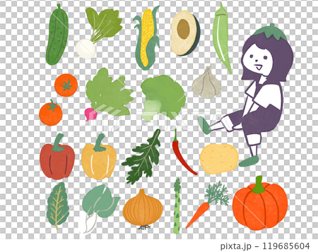 様々な野菜 119685604