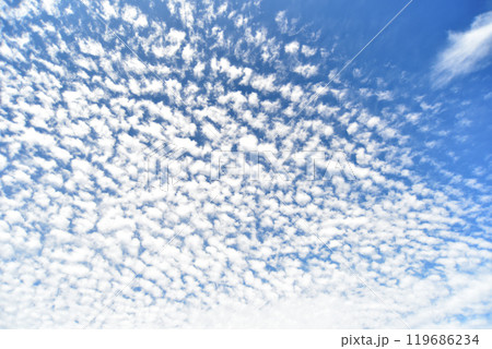秋の空にうろこ雲が広がる 119686234