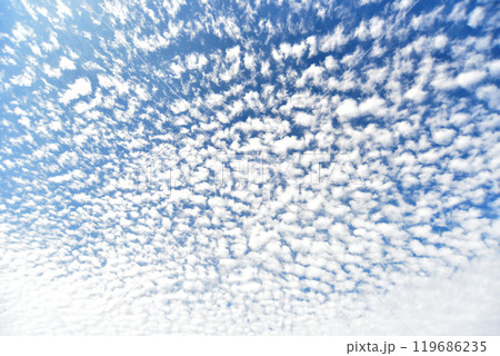 秋の空にうろこ雲が広がる 119686235