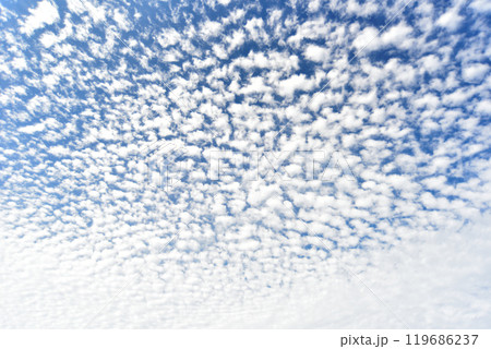 秋の空にうろこ雲が広がる 119686237