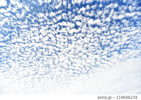 秋の空にうろこ雲が広がる 119686238