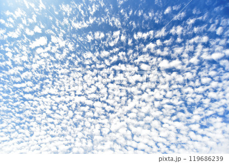 秋の空にうろこ雲が広がる 119686239