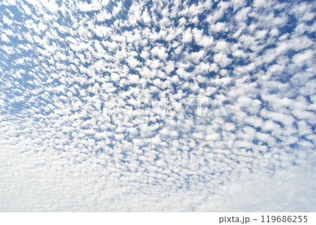 秋の空にうろこ雲が広がる 119686255