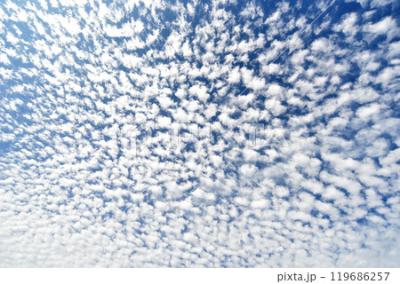 秋の空にうろこ雲が広がる 秋の空にうろこ雲が広がる 119686257