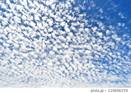 秋の空にうろこ雲が広がる 119686259