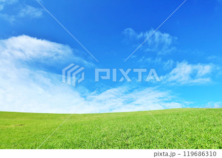 秋の青空と綺麗な草原風景 119686310