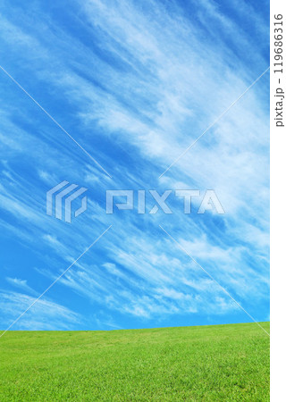秋の青空と綺麗な草原風景 秋の青空と綺麗な草原風景 119686316
