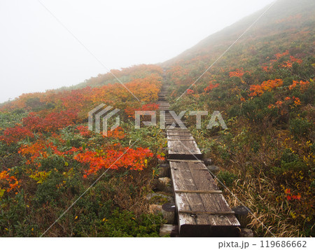 ガスと紅葉の月山姥ヶ岳コース 119686662