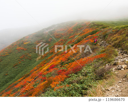 ガスと紅葉の月山姥ヶ岳コース ガスと紅葉の月山姥ヶ岳コース 119686670