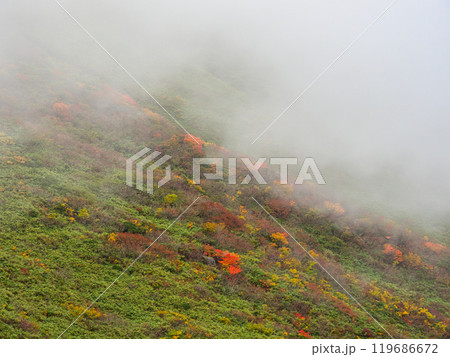 ガスと紅葉の月山姥ヶ岳コース ガスと紅葉の月山姥ヶ岳コース 119686672