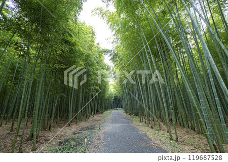 若竹の杜　栃木県宇都宮市 119687528