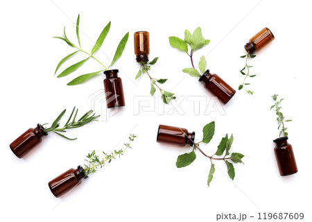 Fresh herbs with bottles on white background. Fresh herbs with bottles on white background. 119687609