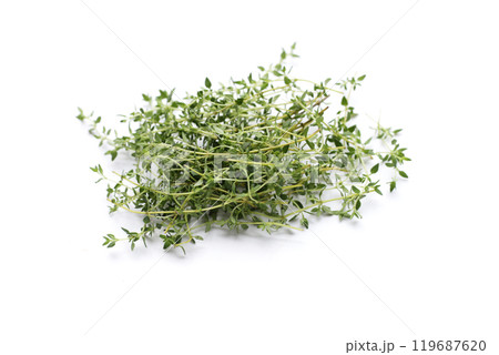 Fresh thyme on white background. Fresh thyme on white background. 119687620
