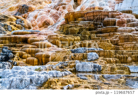 Spectacular Travertine Terraces at Mammoth Hot Springs in Yellowstone National Park. UNESCO world heritage in Wyoming, United States Spectacular Travertine Terraces at Mammoth Hot Springs in Yellowstone National Park. UNESCO world heritage in Wyoming, United States 119687657