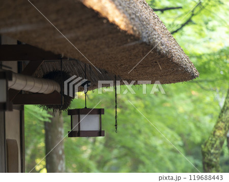 茅葺き屋根と吊り燈籠 119688443