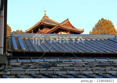屋根の上から覗く夕日のあたる普明閣(西方寺) 屋根の上から覗く夕日のあたる普明閣(西方寺) 119689021
