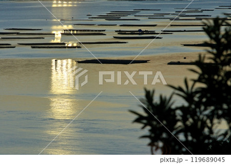 夕暮れ時の瀬戸内海に浮かぶ牡蠣筏 夕暮れ時の瀬戸内海に浮かぶ牡蠣筏 119689045
