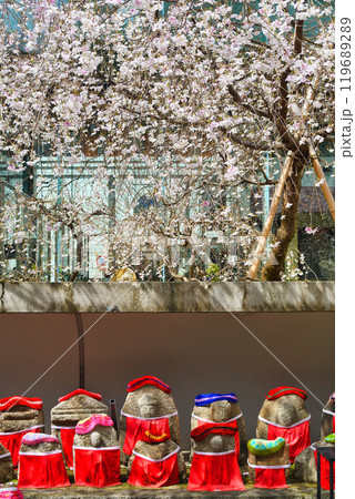 京都 紫雲山頂法寺 六角堂のお地蔵さんと枝垂れ桜（京都市中京区） 119689289