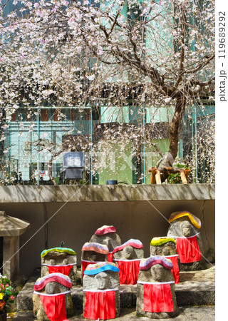京都 紫雲山頂法寺 六角堂のお地蔵さんと枝垂れ桜（京都市中京区） 119689292
