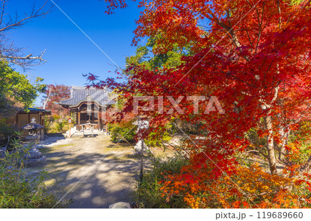 紅葉に包まれた曼殊院弁天堂 119689660