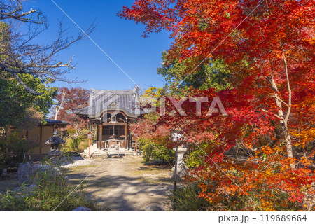 紅葉に包まれた曼殊院弁天堂 紅葉に包まれた曼殊院弁天堂 119689664