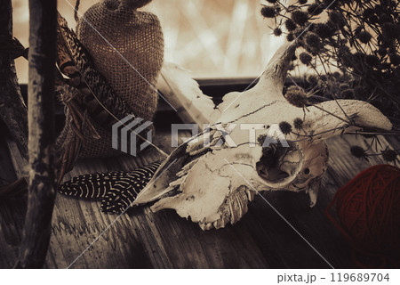 Witchy dusty treasures. Goats skull, dry herbs, birds features, canvas bag on a wooden shelf, selected focus. Witchy dusty treasures. Goats skull, dry herbs, birds features, canvas bag on a wooden shelf, selected focus. 119689704