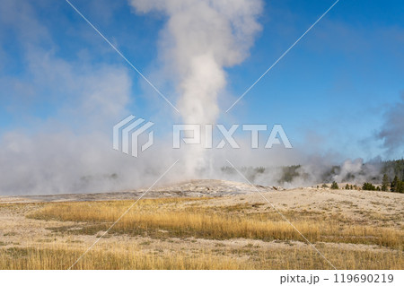 Steam emitting from Old Faithful on a cold fall day in Yellowstone National Park 119690219