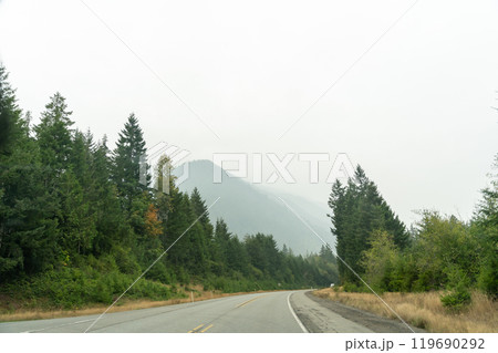A winding road surrounded by trees in the Pacific Northwest on a foggy day. 119690292