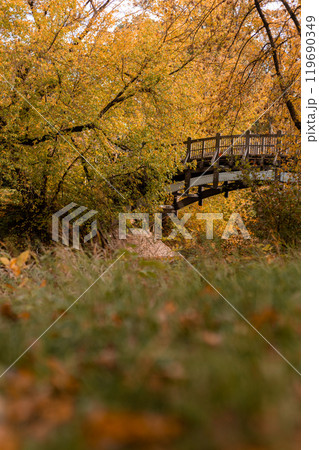 An old wooden bridge. Autumn Park. Yellow leaves on trees 119690349