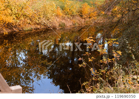 A lake in an autumn park. Nature in autumn. Walk by the lake in autumn 119690350