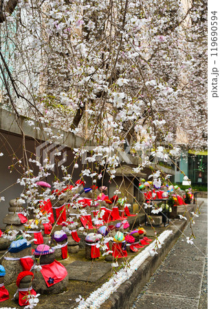 京都 紫雲山頂法寺 六角堂のお地蔵さんと枝垂れ桜と鳩みくじ（京都市中京区） 119690594