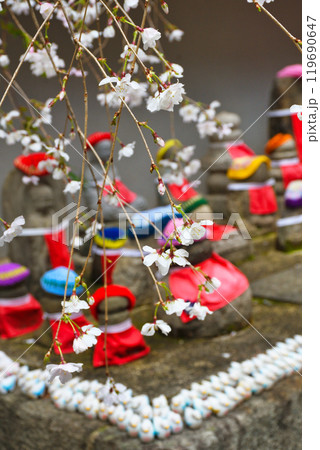 京都 紫雲山頂法寺 六角堂のお地蔵さんと枝垂れ桜と鳩みくじ(京都市中京区) 京都 紫雲山頂法寺 六角堂のお地蔵さんと枝垂れ桜と鳩みくじ(京都市中京区) 119690647