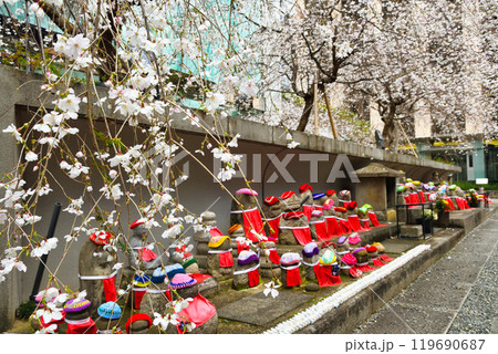 京都 紫雲山頂法寺 六角堂のお地蔵さんと枝垂れ桜と鳩みくじ(京都市中京区) 京都 紫雲山頂法寺 六角堂のお地蔵さんと枝垂れ桜と鳩みくじ(京都市中京区) 119690687