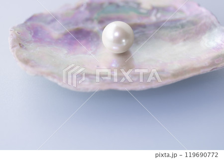 貝片と貝パール 119690772