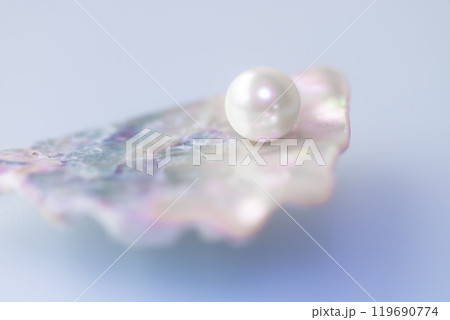 貝片と貝パール 119690774
