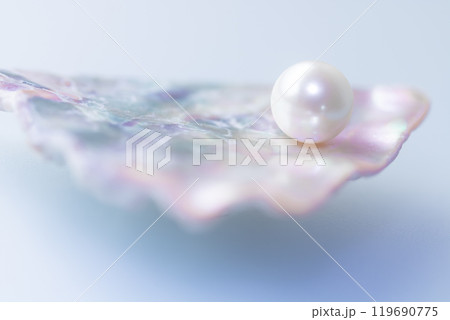 貝片と貝パール 119690775