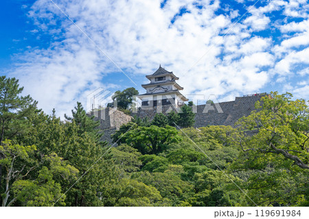【香川県】丸亀城　天守 119691984