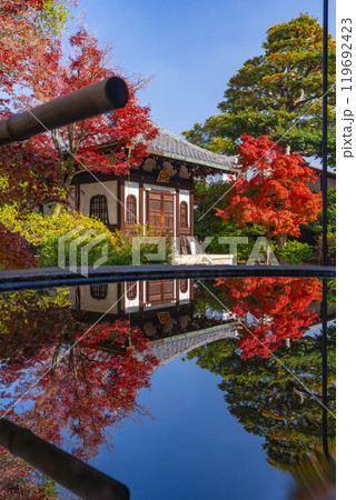 京都東山の秋　建仁寺　紅葉と納骨堂のリフレクション 119692423
