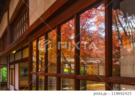 京都東山の秋　建仁寺　紅葉に包まれた潮音庭 119692425