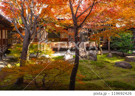 京都東山の秋　建仁寺　紅葉に包まれた潮音庭 119692426