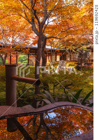 京都東山の秋　建仁寺　潮音庭の紅葉が手水鉢に映り込む 119692428