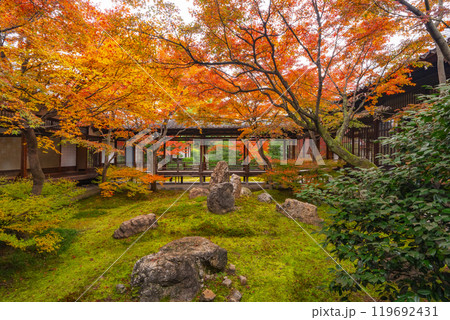 京都東山の秋 建仁寺 紅葉に包まれた潮音庭 京都東山の秋 建仁寺 紅葉に包まれた潮音庭 119692431