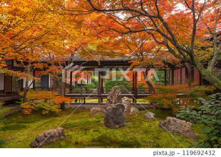 京都東山の秋　建仁寺　紅葉に包まれた潮音庭 119692432