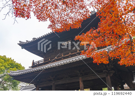 京都東山の秋 建仁寺 紅葉に包まれた望闕楼 京都東山の秋 建仁寺 紅葉に包まれた望闕楼 119692440