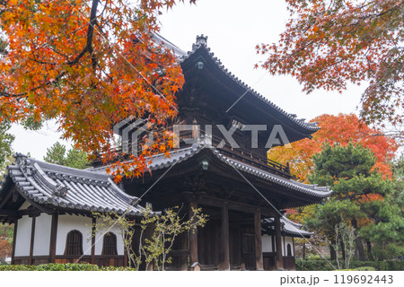 京都東山の秋　建仁寺　紅葉に包まれた望闕楼 119692443