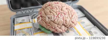 Human brain model on cash money pile in case on floor Human brain model on cash money pile in case on floor 119693230