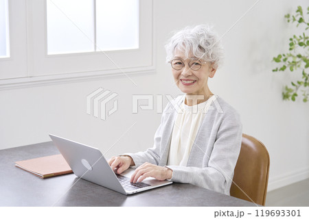 ノートパソコンを使って働く高齢者のビジネスウーマン オフィス カメラ目線 ノートパソコンを使って働く高齢者のビジネスウーマン オフィス カメラ目線 119693301