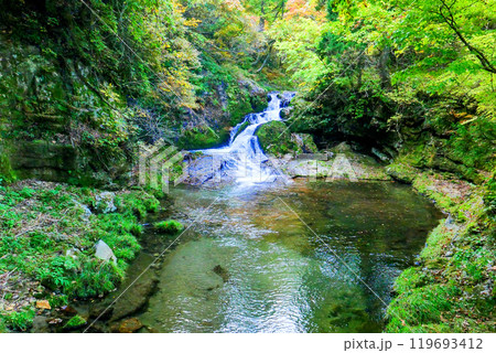 籟音(らいおん)の滝 籟音(らいおん)の滝 119693412