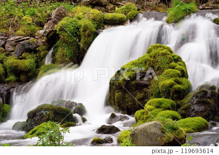羊蹄山の名水「ふきだし公園」　北海道 119693614