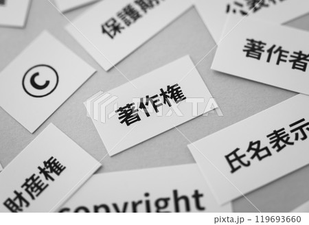 著作権　コピーライト　ビジネス　知的財産権　創作活動　著作物　法令 119693660